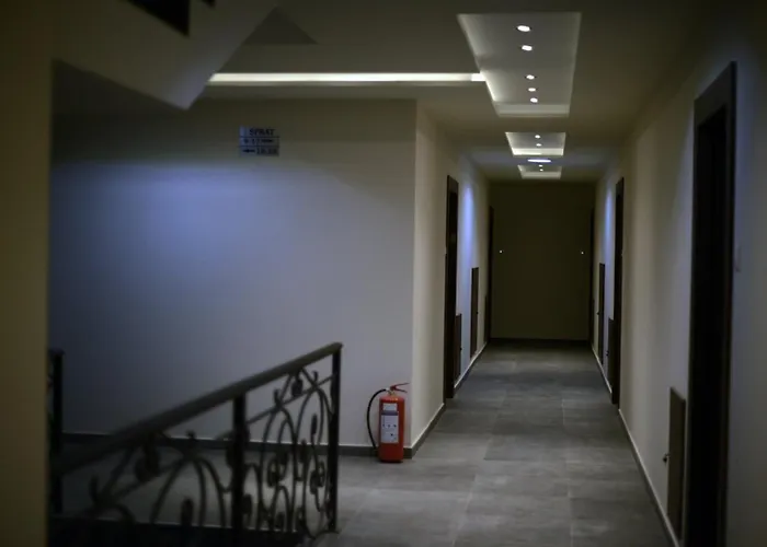 Daire Marjanovic Palić