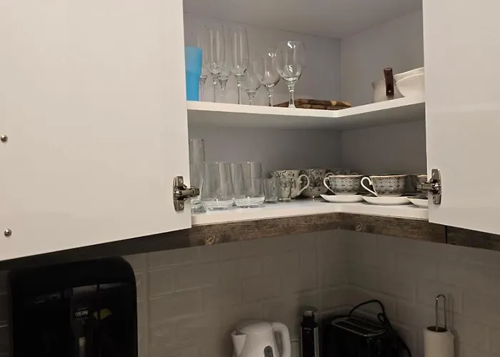 Daire Marjanovic Palić